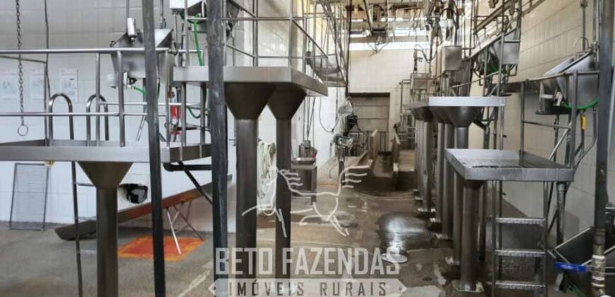 Frigorífico Bovino à Venda 86.000 m² com Projeto de Expanão Aprovado | Aquidauana/MS