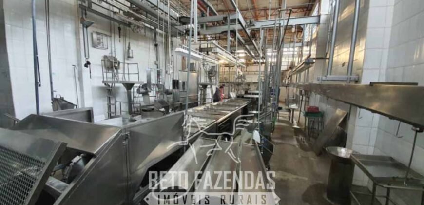 Frigorífico Bovino à Venda 86.000 m² com Projeto de Expanão Aprovado | Aquidauana/MS