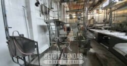 Frigorífico Bovino à Venda 86.000 m² com Projeto de Expanão Aprovado | Aquidauana/MS