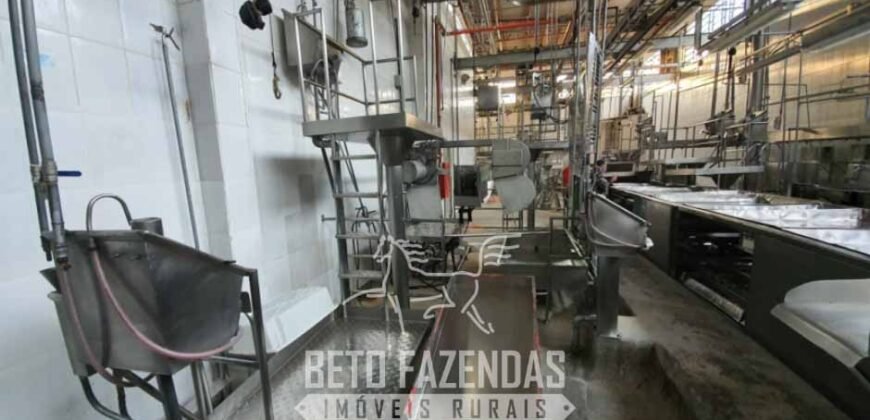 Frigorífico Bovino à Venda 86.000 m² com Projeto de Expanão Aprovado | Aquidauana/MS