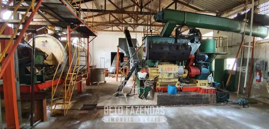 Frigorífico Bovino à Venda 86.000 m² com Projeto de Expanão Aprovado | Aquidauana/MS