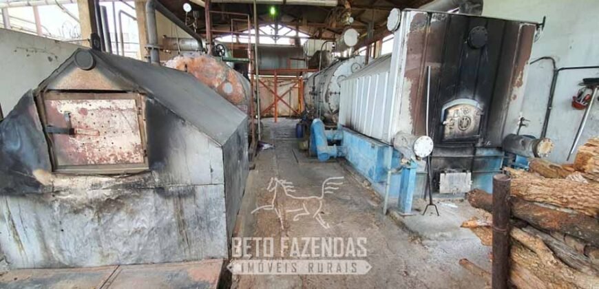 Frigorífico Bovino à Venda 86.000 m² com Projeto de Expanão Aprovado | Aquidauana/MS