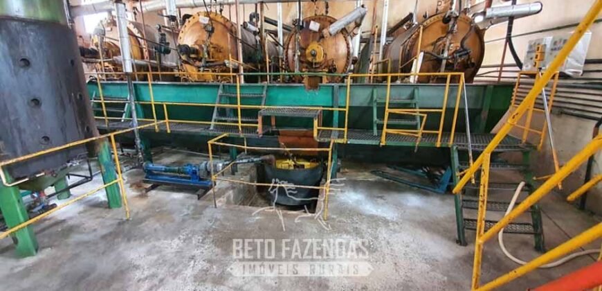 Frigorífico Bovino à Venda 86.000 m² com Projeto de Expanão Aprovado | Aquidauana/MS