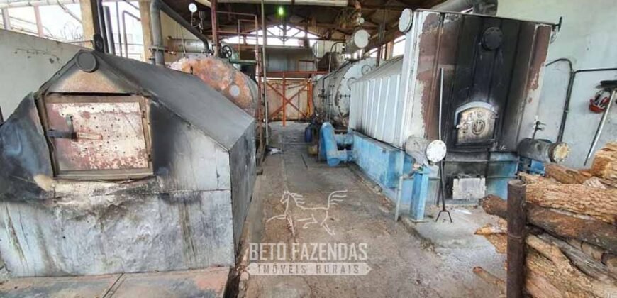 Frigorífico Bovino à Venda 86.000 m² com Projeto de Expanão Aprovado | Aquidauana/MS