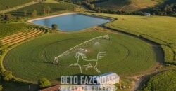 Fazenda à Venda 570 Hectares Irrigação Pronta para Lavoura Soja/Milho | Gouveia /MG
