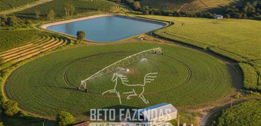 Fazenda à Venda 570 Hectares Irrigação Pronta para Lavoura Soja/Milho | Gouveia /MG