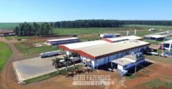 Frigorífico Exportador à Venda 330.000 m² SIF China Alta Performace | MS