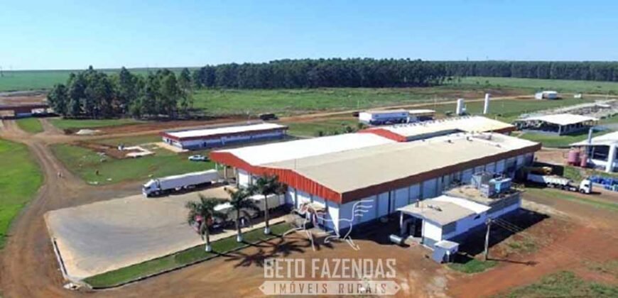 Frigorífico Exportador à Venda 330.000 m² SIF China Alta Performace | MS
