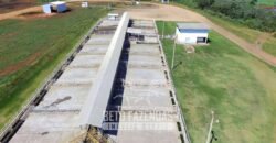 Frigorífico Exportador à Venda 330.000 m² SIF China Alta Performace | MS