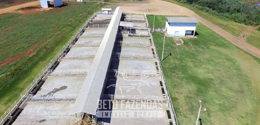 Frigorífico Exportador à Venda 330.000 m² SIF China Alta Performace | MS