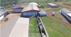 Frigorífico Exportador à Venda 330.000 m² SIF China Alta Performace | MS