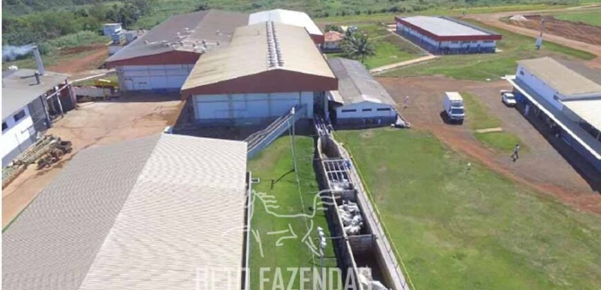 Frigorífico Exportador à Venda 330.000 m² SIF China Alta Performace | MS