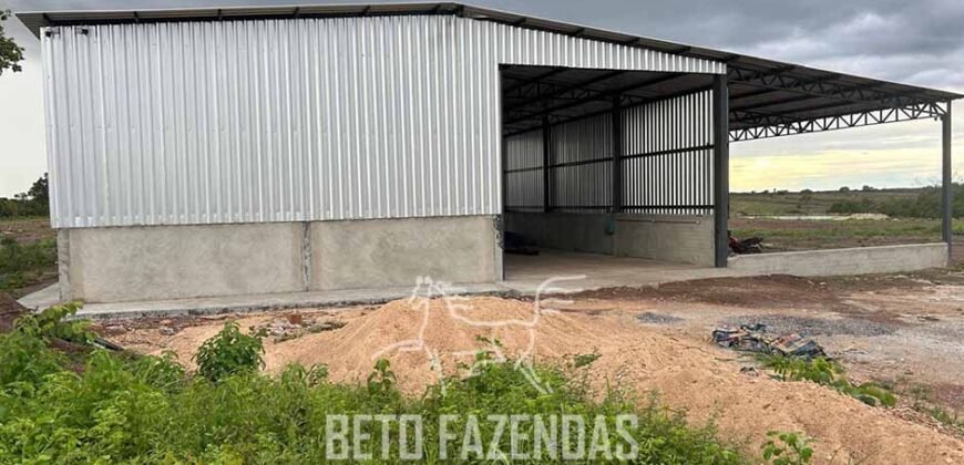 Fazenda para Soja à Venda 94,5 Alqueires Aptidão Agrícula e Qualidade do Solo | Conceição do Tocantins/ TO