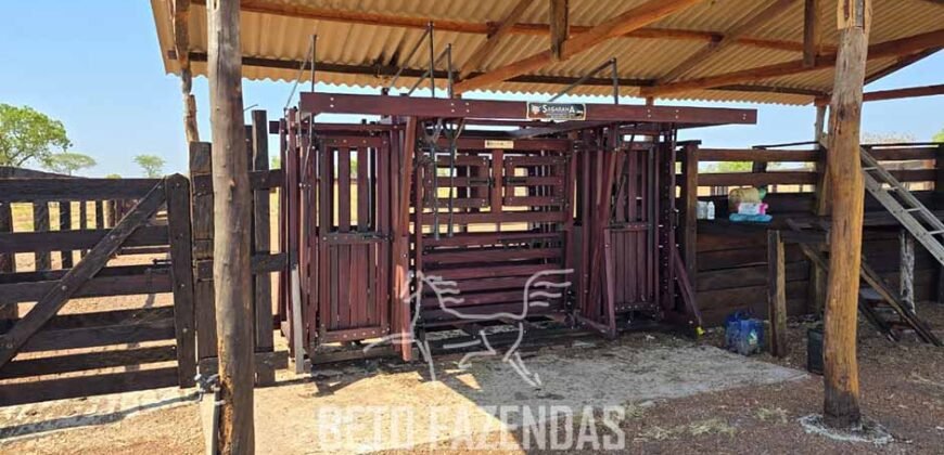 Fazenda para Soja à Venda 94,5 Alqueires Aptidão Agrícula e Qualidade do Solo | Conceição do Tocantins/ TO