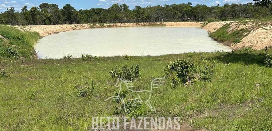 Fazenda para Soja à Venda 94,5 Alqueires Aptidão Agrícula e Qualidade do Solo | Conceição do Tocantins/ TO