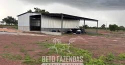 Fazenda para Soja à Venda 94,5 Alqueires Aptidão Agrícula e Qualidade do Solo | Conceição do Tocantins/ TO