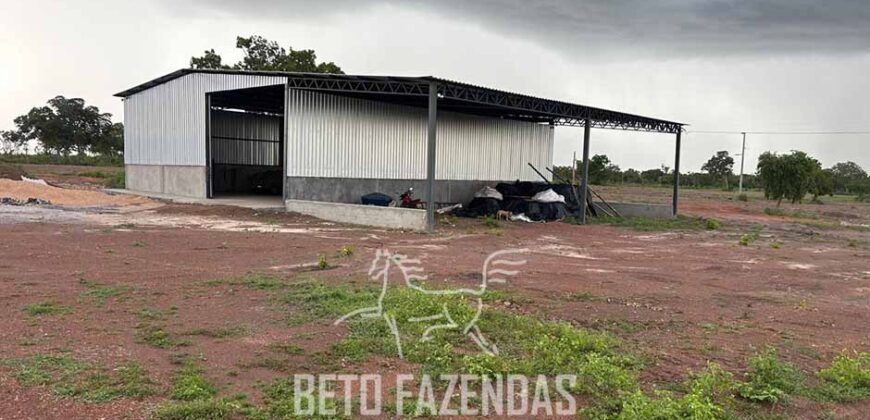 Fazenda para Soja à Venda 94,5 Alqueires Aptidão Agrícula e Qualidade do Solo | Conceição do Tocantins/ TO