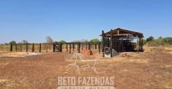 Fazenda para Soja à Venda 94,5 Alqueires Aptidão Agrícula e Qualidade do Solo | Conceição do Tocantins/ TO