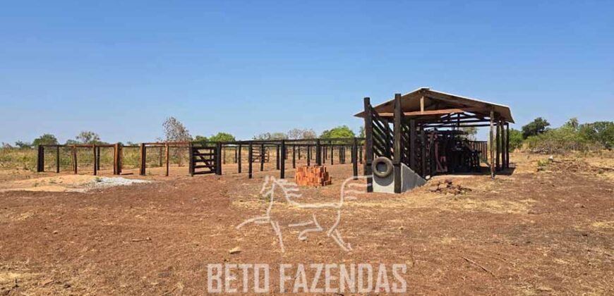 Fazenda para Soja à Venda 94,5 Alqueires Aptidão Agrícula e Qualidade do Solo | Conceição do Tocantins/ TO