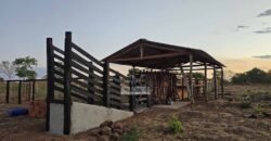 Fazenda para Soja à Venda 94,5 Alqueires Aptidão Agrícula e Qualidade do Solo | Conceição do Tocantins/ TO