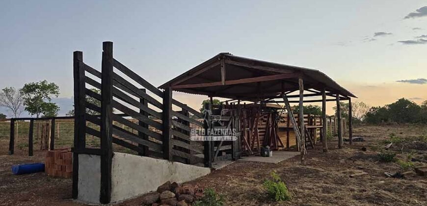 Fazenda para Soja à Venda 94,5 Alqueires Aptidão Agrícula e Qualidade do Solo | Conceição do Tocantins/ TO