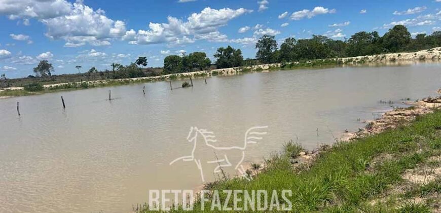 Fazenda para Soja à Venda 94,5 Alqueires Aptidão Agrícula e Qualidade do Solo | Conceição do Tocantins/ TO