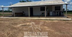 Fazenda para Soja à Venda 94,5 Alqueires Aptidão Agrícula e Qualidade do Solo | Conceição do Tocantins/ TO