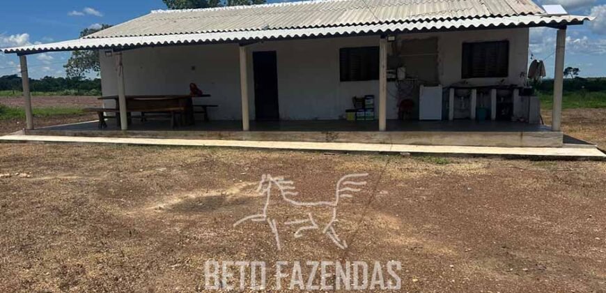 Fazenda para Soja à Venda 94,5 Alqueires Aptidão Agrícula e Qualidade do Solo | Conceição do Tocantins/ TO