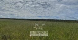 Fazenda à Venda 8.000 Hectares Alto Potencial Hídrico para Lavoura Soja, Milho e Algodão | Chapada Gaúcha/MG