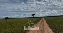 Fazenda à Venda 8.000 Hectares Alto Potencial Hídrico para Lavoura Soja, Milho e Algodão | Chapada Gaúcha/MG