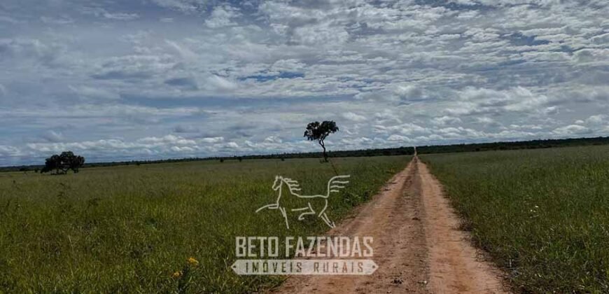 Fazenda à Venda 8.000 Hectares Alto Potencial Hídrico para Lavoura Soja, Milho e Algodão | Chapada Gaúcha/MG