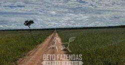 Fazenda à Venda 8.000 Hectares Alto Potencial Hídrico para Lavoura Soja, Milho e Algodão | Chapada Gaúcha/MG