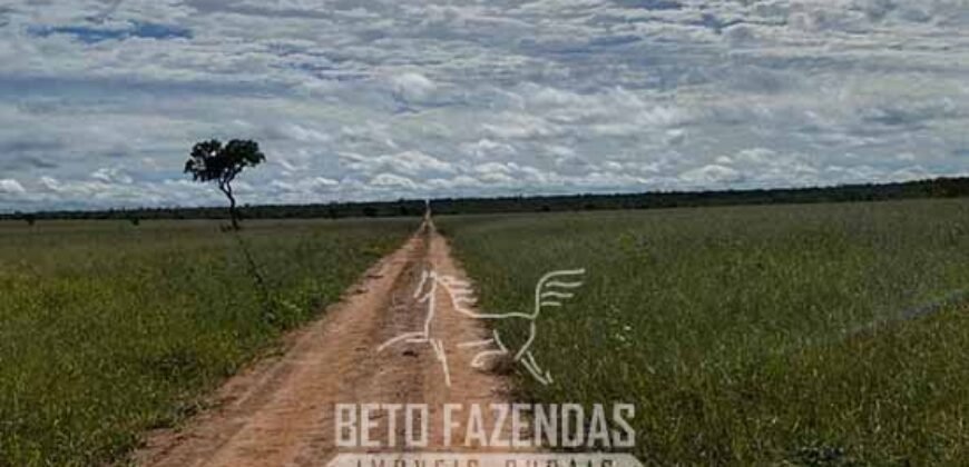 Fazenda à Venda 8.000 Hectares Alto Potencial Hídrico para Lavoura Soja, Milho e Algodão | Chapada Gaúcha/MG