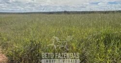 Fazenda à Venda 8.000 Hectares Alto Potencial Hídrico para Lavoura Soja, Milho e Algodão | Chapada Gaúcha/MG