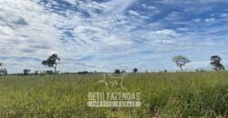 Fazenda à Venda 8.000 Hectares Alto Potencial Hídrico para Lavoura Soja, Milho e Algodão | Chapada Gaúcha/MG