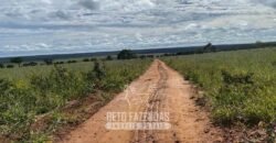 Fazenda à Venda 8.000 Hectares Alto Potencial Hídrico para Lavoura Soja, Milho e Algodão | Chapada Gaúcha/MG