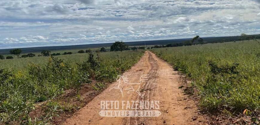 Fazenda à Venda 8.000 Hectares Alto Potencial Hídrico para Lavoura Soja, Milho e Algodão | Chapada Gaúcha/MG