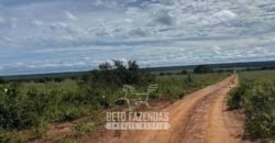 Fazenda à Venda 8.000 Hectares Alto Potencial Hídrico para Lavoura Soja, Milho e Algodão | Chapada Gaúcha/MG