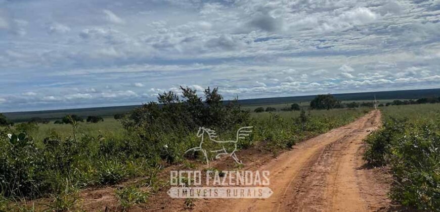 Fazenda à Venda 8.000 Hectares Alto Potencial Hídrico para Lavoura Soja, Milho e Algodão | Chapada Gaúcha/MG