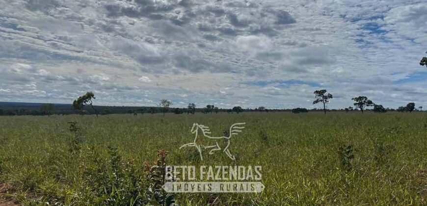 Fazenda à Venda 8.000 Hectares Alto Potencial Hídrico para Lavoura Soja, Milho e Algodão | Chapada Gaúcha/MG