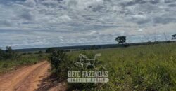 Fazenda à Venda 8.000 Hectares Alto Potencial Hídrico para Lavoura Soja, Milho e Algodão | Chapada Gaúcha/MG