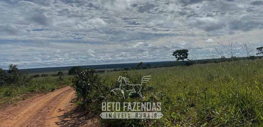 Fazenda à Venda 8.000 Hectares Alto Potencial Hídrico para Lavoura Soja, Milho e Algodão | Chapada Gaúcha/MG