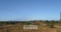 Fazenda à Venda 732 Hectares com Sistema de Irrigação Pronto, Pastos e Curral Estruturado | Pirapora/MG Fazenda à Venda 732 Hectares com Sistema de Irrigação Pronto, Pastos e Curral Estruturado | Pirapora/MG