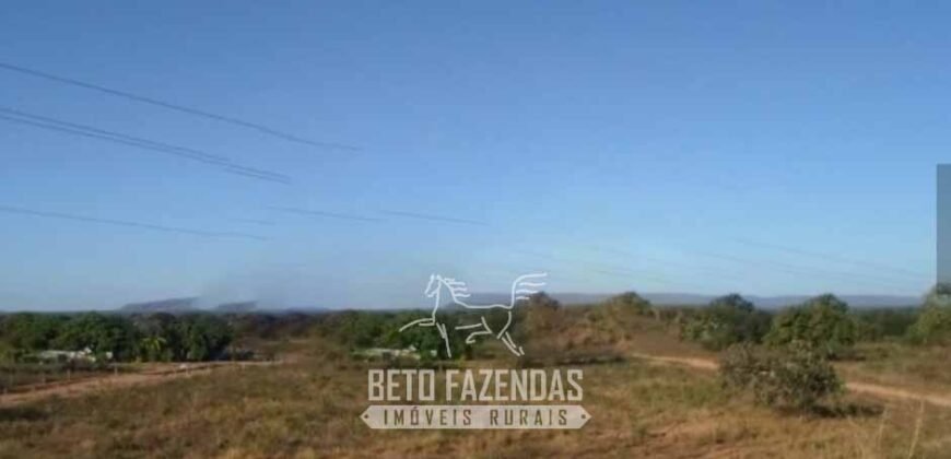 Fazenda à Venda 732 Hectares com Sistema de Irrigação Pronto, Pastos e Curral Estruturado | Pirapora/MG Fazenda à Venda 732 Hectares com Sistema de Irrigação Pronto, Pastos e Curral Estruturado | Pirapora/MG