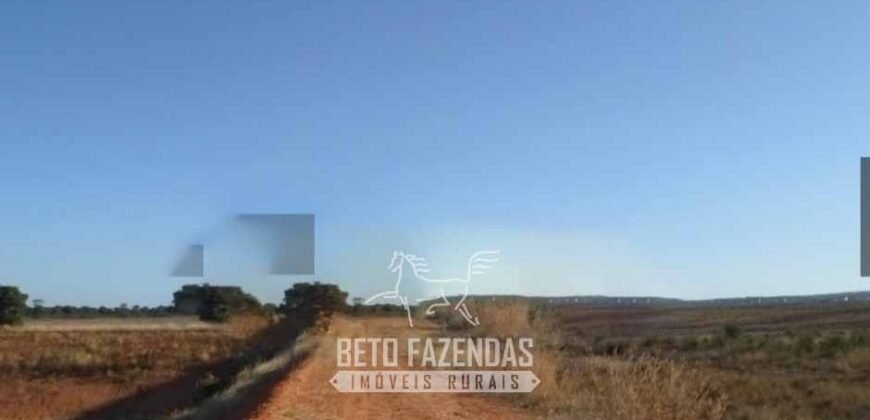 Fazenda à Venda 732 Hectares com Sistema de Irrigação Pronto, Pastos e Curral Estruturado | Pirapora/MG Fazenda à Venda 732 Hectares com Sistema de Irrigação Pronto, Pastos e Curral Estruturado | Pirapora/MG