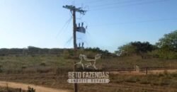 Fazenda à Venda 732 Hectares com Sistema de Irrigação Pronto, Pastos e Curral Estruturado | Pirapora/MG Fazenda à Venda 732 Hectares com Sistema de Irrigação Pronto, Pastos e Curral Estruturado | Pirapora/MG