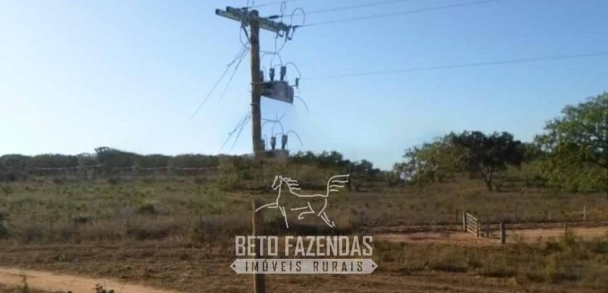 Fazenda à Venda 732 Hectares com Sistema de Irrigação Pronto, Pastos e Curral Estruturado | Pirapora/MG Fazenda à Venda 732 Hectares com Sistema de Irrigação Pronto, Pastos e Curral Estruturado | Pirapora/MG