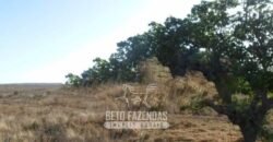 Fazenda à Venda 732 Hectares com Sistema de Irrigação Pronto, Pastos e Curral Estruturado | Pirapora/MG Fazenda à Venda 732 Hectares com Sistema de Irrigação Pronto, Pastos e Curral Estruturado | Pirapora/MG