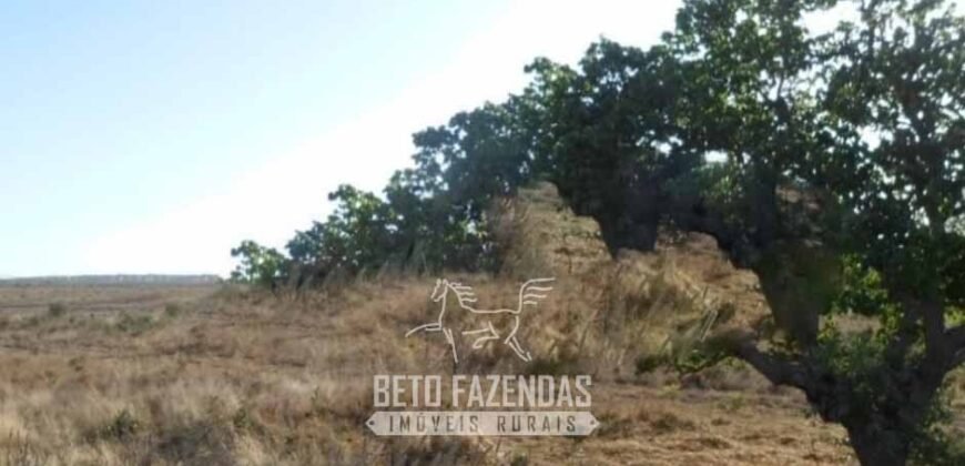 Fazenda à Venda 732 Hectares com Sistema de Irrigação Pronto, Pastos e Curral Estruturado | Pirapora/MG Fazenda à Venda 732 Hectares com Sistema de Irrigação Pronto, Pastos e Curral Estruturado | Pirapora/MG