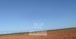 Fazenda à Venda 732 Hectares com Sistema de Irrigação Pronto, Pastos e Curral Estruturado | Pirapora/MG Fazenda à Venda 732 Hectares com Sistema de Irrigação Pronto, Pastos e Curral Estruturado | Pirapora/MG